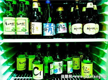 世界27種酒精飲料巡禮 從烈酒到脫醇酒的多元風(fēng)味