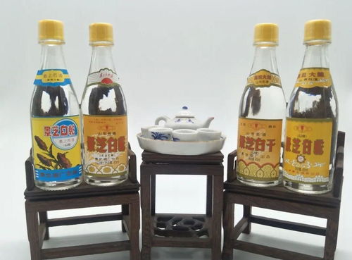 為何半斤白酒尚清醒，兩瓶啤酒卻已醉？——酒精飲料與醉酒的秘密